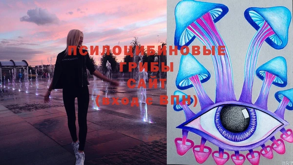 прущие крисы Беломорск