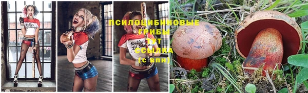 прущие крисы Беломорск