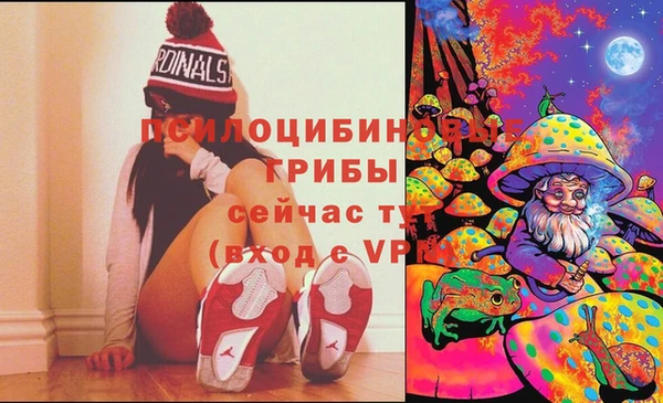 соль курить ск Белокуриха