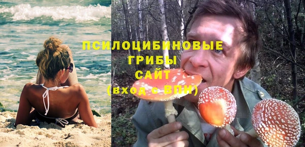 соль курить ск Белокуриха